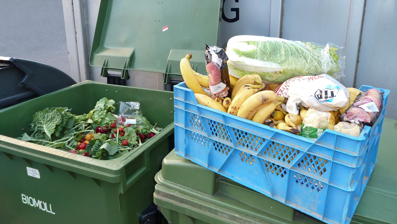 Отходы общественного питания. Пищевые отходы. Продукты в мусорке. Продукты на помойке. Еда в мусорных Баках.