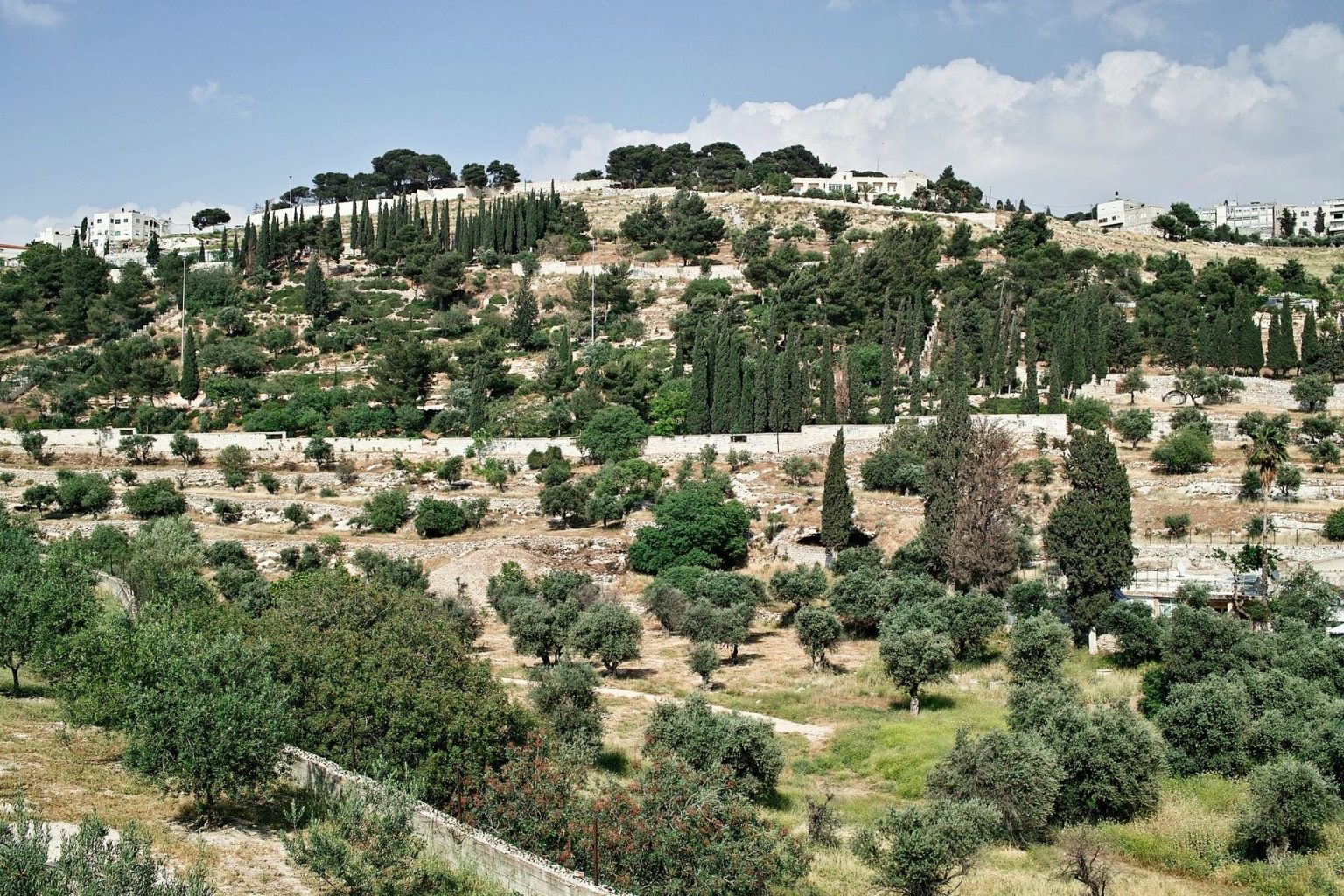 природа израиля